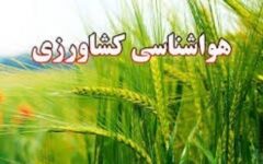 کشاورزان از کانال‌های زهکشی و خروجی آب مزارع اطمینان حاصل کنند