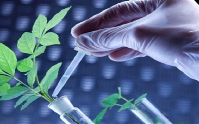 پیگیری برای تعیین تکلیف اراضی پردیس کشاورزی بروجرد پس از سه دهه