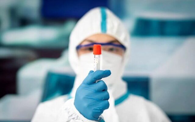 هنوز هیچ مرجع رسمی طاعون روسیه را تایید نکرده است/ طاعون چقدر خطرناک است؟