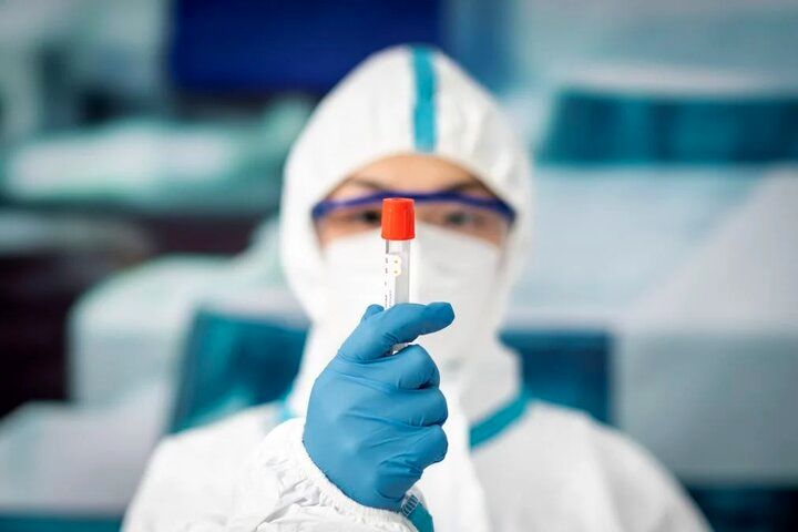 هنوز هیچ مرجع رسمی طاعون روسیه را تایید نکرده است/ طاعون چقدر خطرناک است؟