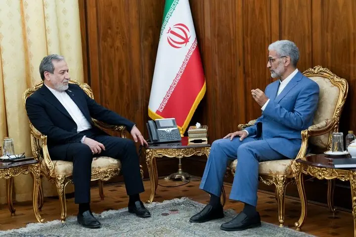 دیدار برخی سفرای ایران با عراقچی