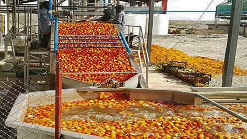 رونق صنایع تبدیلی کشاورزی کردستان با ۳۹ هزار میلیارد تومان سرمایه‌گذاری