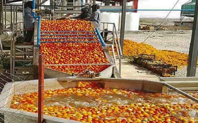 رونق صنایع تبدیلی کشاورزی کردستان با ۳۹ هزار میلیارد تومان سرمایه‌گذاری
