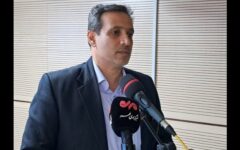 رئیس جهاد کشاورزی کرمانشاه: سهم فروش خوراک مرغ به ۱۴ درصد رسید