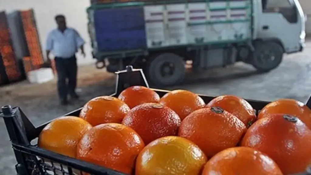 برخورد قانونی با رنگافزایی غیرمجاز مرکبات