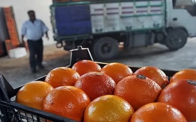 برخورد قانونی با رنگافزایی غیرمجاز مرکبات