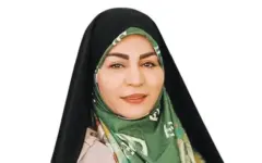 حمایت از سالمند نباید منجر به سلب اختیار و تصمیم‌گیری او شود