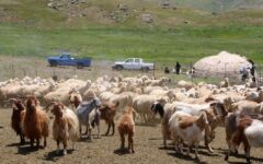 هشدار به عشایر اردبیل برای خروج از ارتفاعات و مسیل‌ها