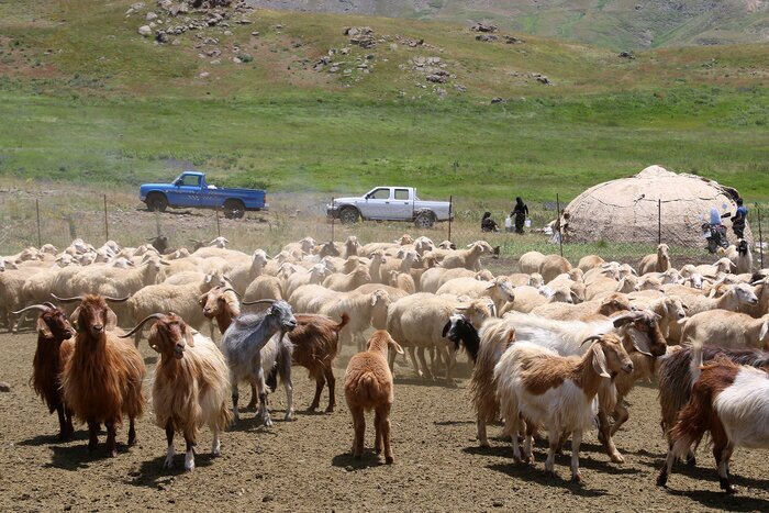 هشدار به عشایر اردبیل برای خروج از ارتفاعات و مسیل‌ها
