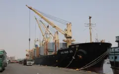 تخلیه و بارگیری ۶۳ هزار TEU کانتینر یخچالی در بنادر غرب هرمزگان