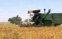دولت حساب گندم‌کاران را تسویه کرد