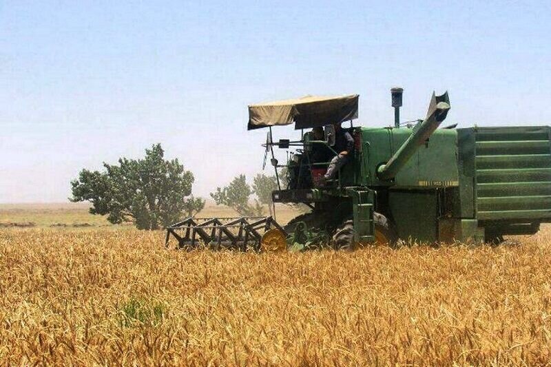 دولت حساب گندمکاران را تسویه کرد