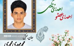 نوجوان ۱۶ ساله قلعه‌نو خرقان به چند بیمار زندگی بخشید