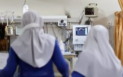 اسفناج سمی تعدادی از شهروندان بجنوردی را راهی بیمارستان کرد