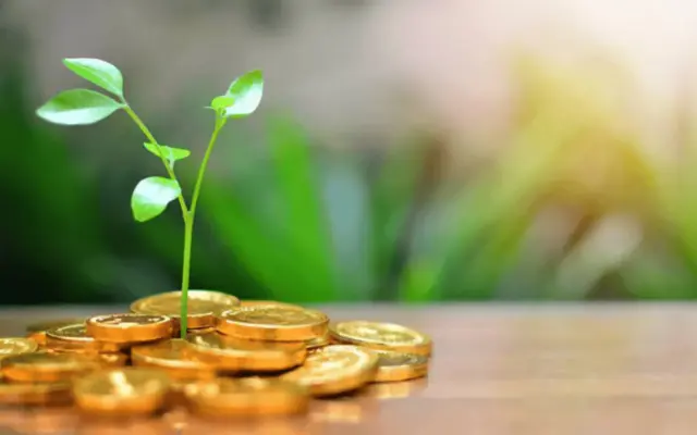 تصویب بیش از یک همت مصوبه برای ۹۰ شرکت دانش‌بنیان استان فارس