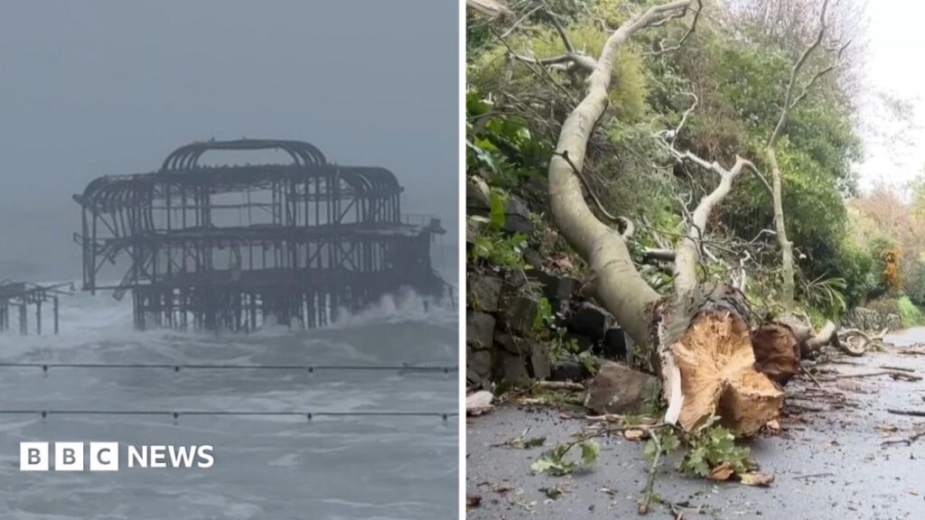 Watch: Trees ripped up as Storm Austen batters Britain