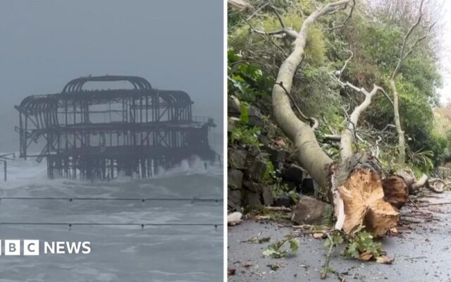 Watch: Trees ripped up as Storm Austen batters Britain
