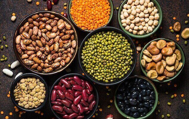 پروتئینهای گیاهی پرخاصیت؛راهی ساده برای تقویت سلامت قلب و گوارش