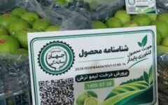 تاکنون بیش از ۲۰۰ شناسنامه برای محصولات زراعی و باغی استان فارس صادر شده است