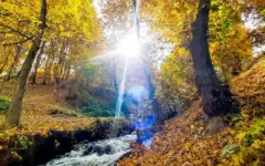 پیش بینی هوای مشهد فردا سه شنبه 14 مهر/ دما در خراسان رضوی افزایشی می شود