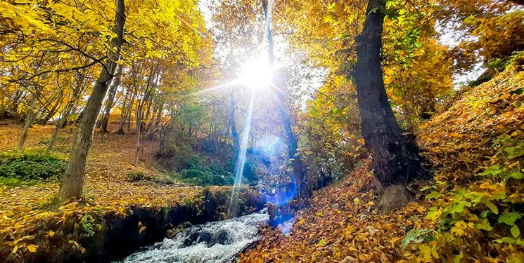 پیش بینی هوای مشهد فردا سه شنبه 14 مهر/ دما در خراسان رضوی افزایشی می شود