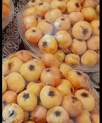 فصل تازه‌ای در درمان ۴۳ بیماری لاعلاج آغاز شد؛ خواص شگفت انگیز زالزالک پاییزی!