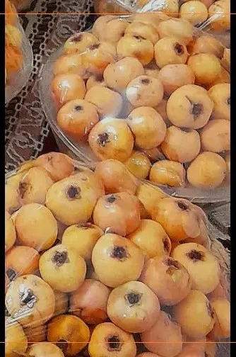 فصل تازه‌ای در درمان ۴۳ بیماری لاعلاج آغاز شد؛ خواص شگفت انگیز زالزالک پاییزی!