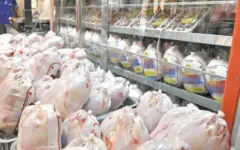 مرغ گران شد/ معاون جهاد کشاورزی تهران: افزایش قیمت، منطقی است