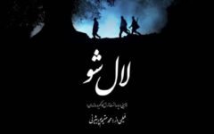 مستند «لال شو» به جشنواره ملی «هزار و یک روایت» راه یافت