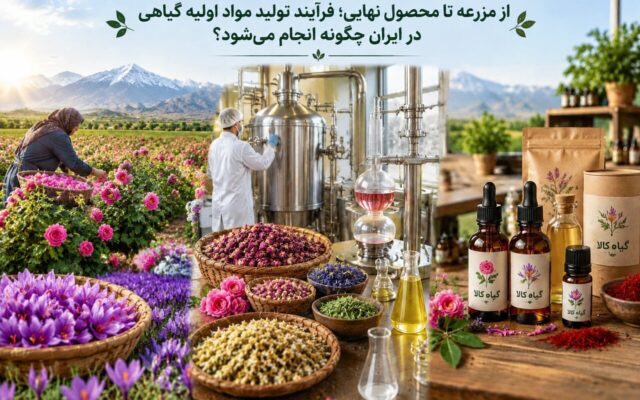 فرآیند تولید و فرآوری مواد اولیه گیاهی در ایران؛ از کشت تا محصول نهایی