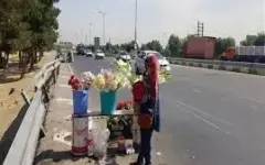 گل فروشان و کودکان کار اطراف بهشت زهرا جمع آوری شدند