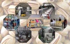 صنایع تبدیلی چهارمحال و بختیاری در مسیر توسعه سرمایه‌گذاری