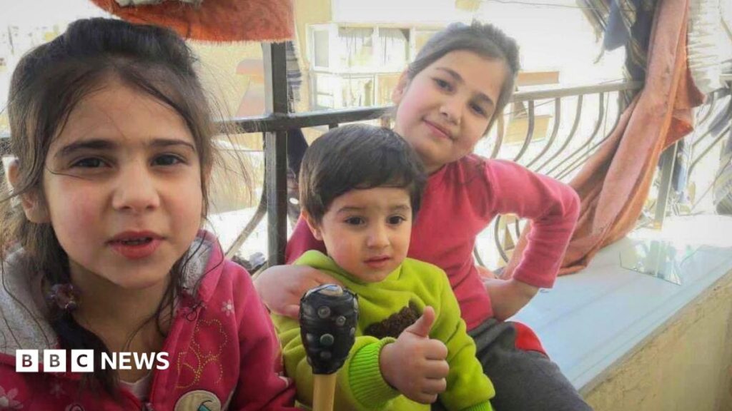 Global charity withholds report into its role in Syria's 'disappeared' children