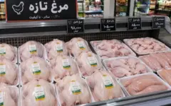 جهش ۳۳ درصدی قیمت مرغ در یک هفته