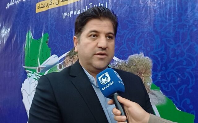 تشکیل تشکل حرفه‌ای صنایع‌دستی، گامی مهم در توانمندسازی هنرمندان ایلامی است