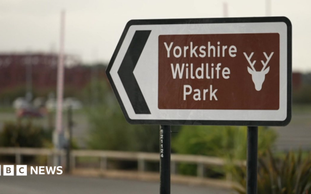 Man dies after tiger attack at wildlife park