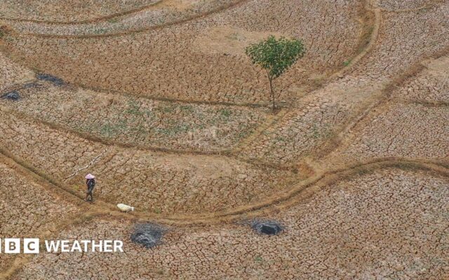 Five ways El Niño is affecting the weather around the world