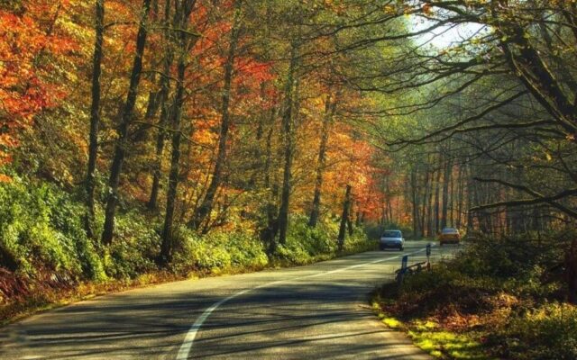 اواخر مهر کجا برویم؟ ۵ روستای دیدنی برای سفر پاییزی به شمال
