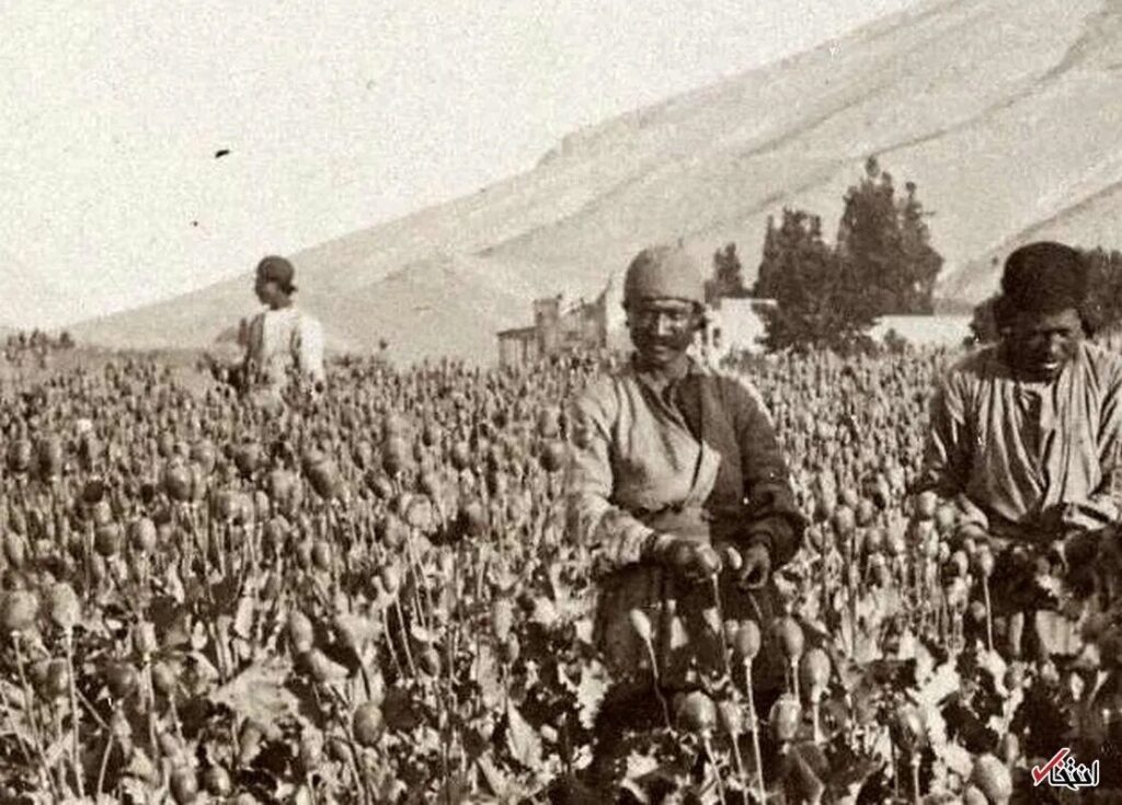 وقتی تریاک منبع عمده درآمد ایران بود / بازخوانی سفرنامه نخستین دیپلمات ژاپنی در تهران
