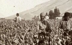 وقتی تریاک منبع عمده درآمد ایران بود / بازخوانی سفرنامه نخستین دیپلمات ژاپنی در تهران