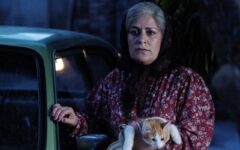 «فصل شیرین» آماده نمایش شد