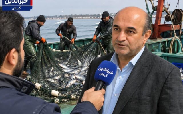 صید ۸۳ تن ماهی استخوانی در سواحل گیلان؛ ارزش صید از ۹۱ میلیارد تومان گذشت