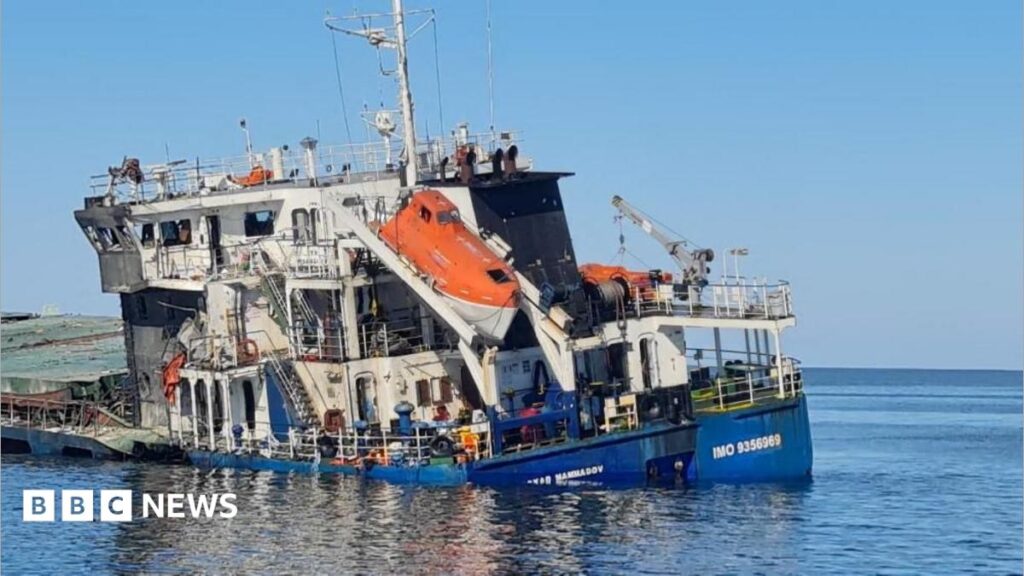 Zelensky condemns 'horrific' Russian strike on boat carrying corn in Black Sea