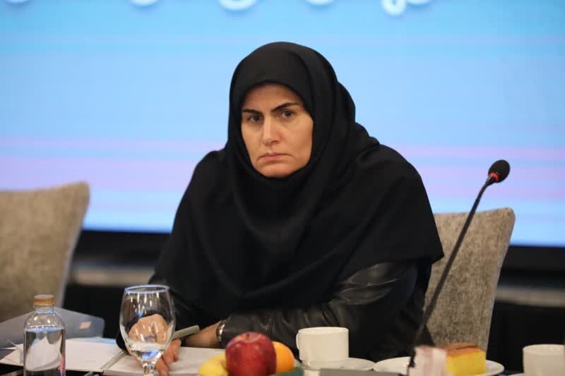 تعاونیهای زنجان در صف اول دریافت تسهیلات قرار میگیرند