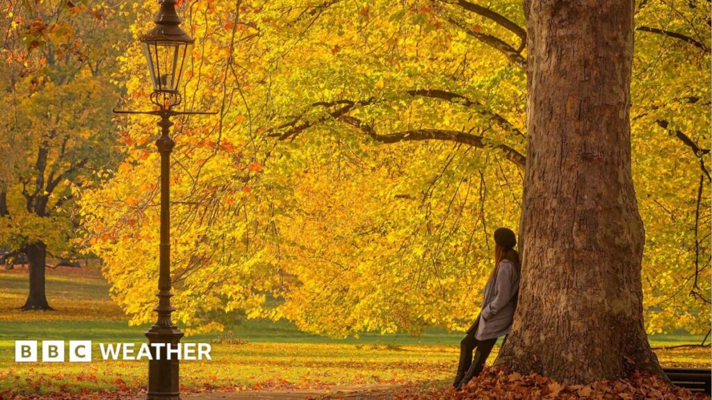 Ex-hurricane to bring warm weather to the UK this week
