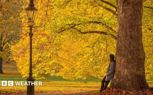 Ex-hurricane to bring warm weather to the UK this week