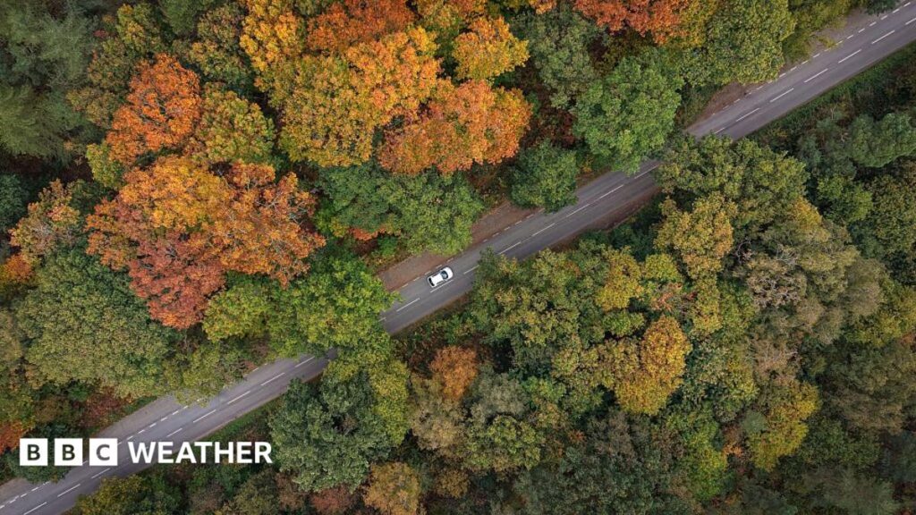 Where to spot brilliant colours after 'false autumn' spoils some leaf displays