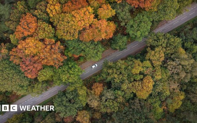 Where to spot brilliant colours after 'false autumn' spoils some leaf displays