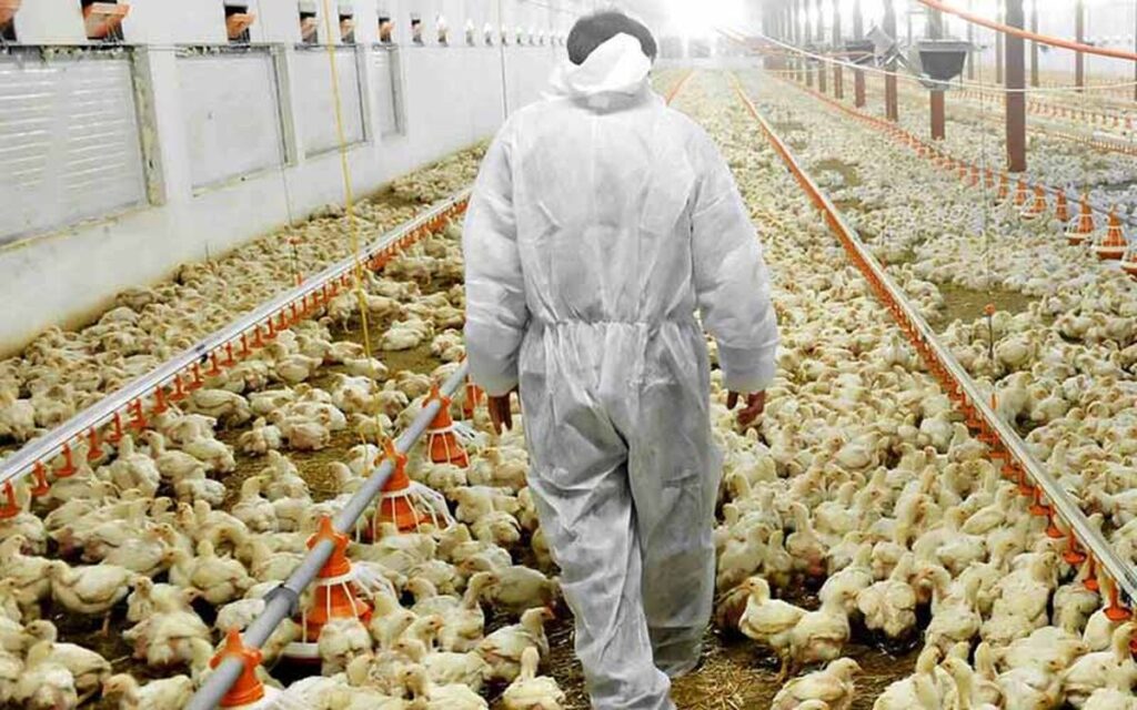 ابزارهای تأمین مالی باید به برات الکترونیکی قابل انتقال تبدیل شوند