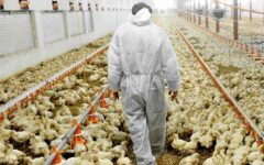 ابزارهای تأمین مالی باید به برات الکترونیکی قابل انتقال تبدیل شوند